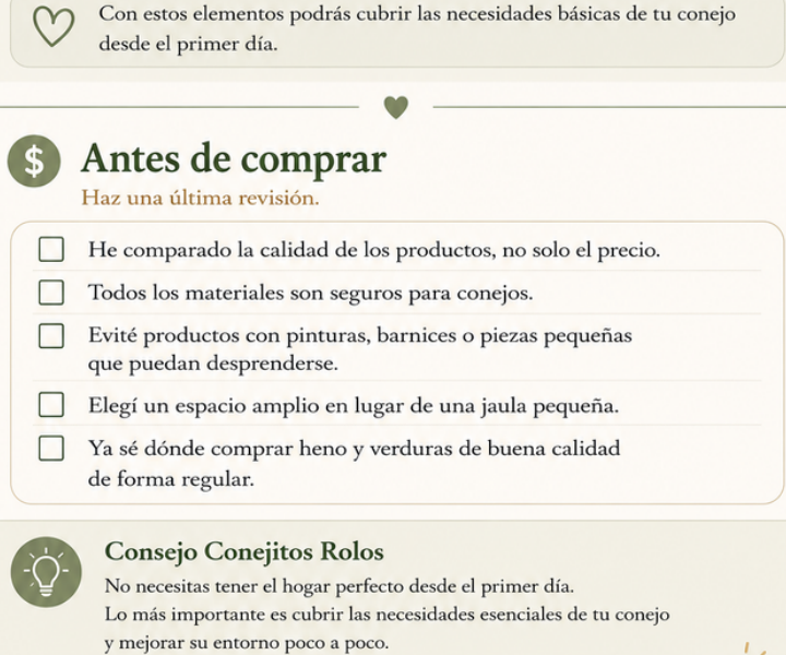 Vista previa del recurso Checklist antes de adoptar