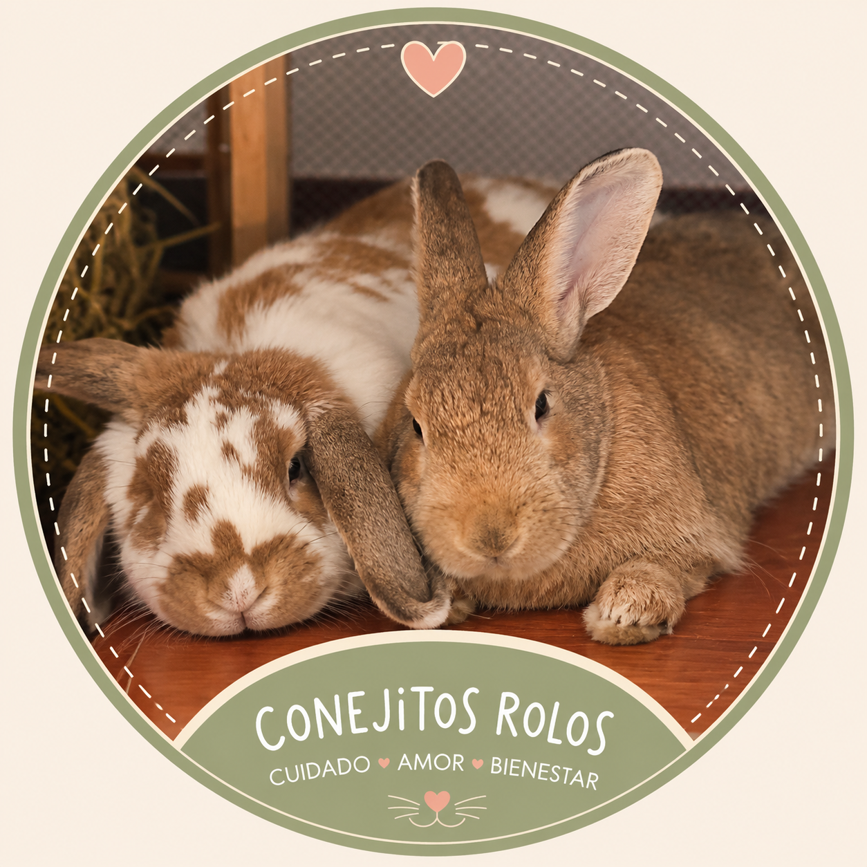Imagen de dos conejos de Conejitos Rolos para la seccion de garantia