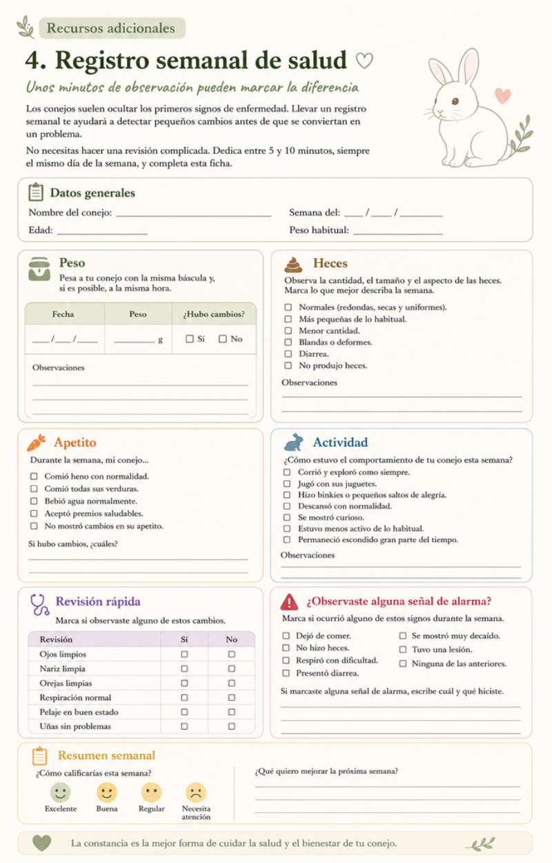 Vista previa del recurso Registro semanal de salud